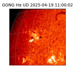 gong - 2025-04-19T11:00:02