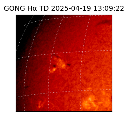 gong - 2025-04-19T13:09:22
