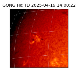 gong - 2025-04-19T14:00:22