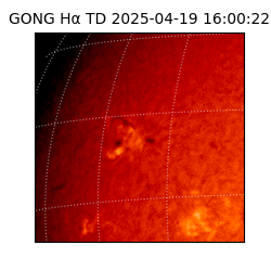 gong - 2025-04-19T16:00:22