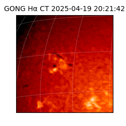 gong - 2025-04-19T20:21:42