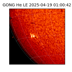 gong - 2025-04-19T01:00:42
