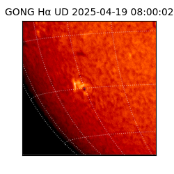 gong - 2025-04-19T08:00:02