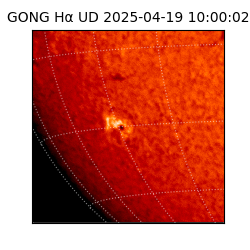 gong - 2025-04-19T10:00:02