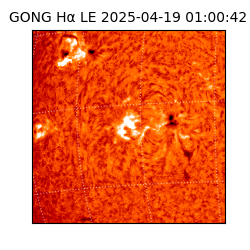 gong - 2025-04-19T01:00:42