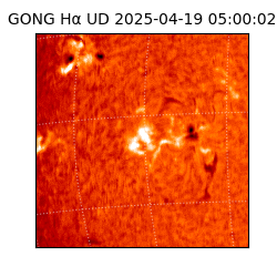 gong - 2025-04-19T05:00:02