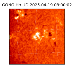 gong - 2025-04-19T08:00:02