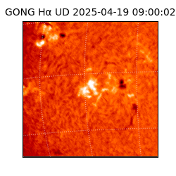 gong - 2025-04-19T09:00:02