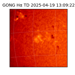 gong - 2025-04-19T13:09:22