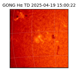 gong - 2025-04-19T15:00:22