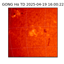 gong - 2025-04-19T16:00:22