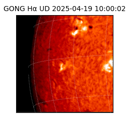 gong - 2025-04-19T10:00:02