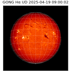 gong - 2025-04-19T09:00:02