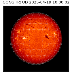 gong - 2025-04-19T10:00:02