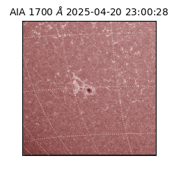 saia - 2025-04-20T23:00:28.745000