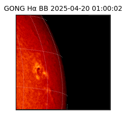 gong - 2025-04-20T01:00:02