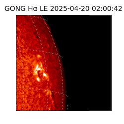 gong - 2025-04-20T02:00:42