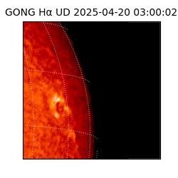 gong - 2025-04-20T03:00:02