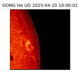 gong - 2025-04-20T10:00:02