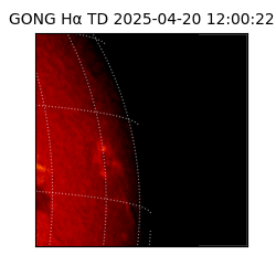 gong - 2025-04-20T12:00:22