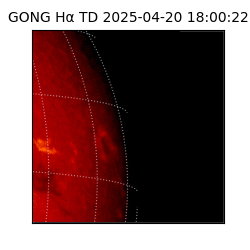 gong - 2025-04-20T18:00:22