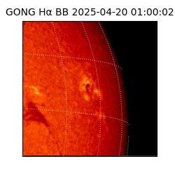 gong - 2025-04-20T01:00:02