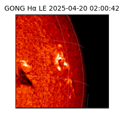 gong - 2025-04-20T02:00:42