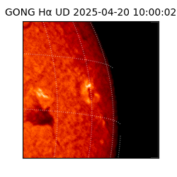 gong - 2025-04-20T10:00:02