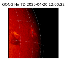 gong - 2025-04-20T12:00:22