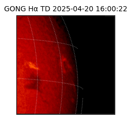 gong - 2025-04-20T16:00:22