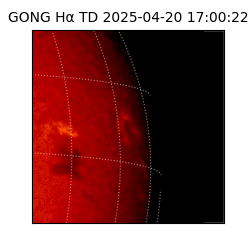 gong - 2025-04-20T17:00:22