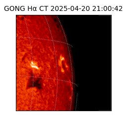gong - 2025-04-20T21:00:42