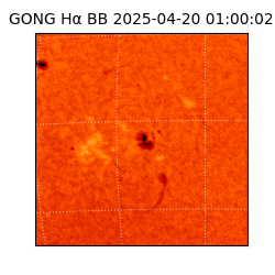 gong - 2025-04-20T01:00:02