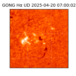 gong - 2025-04-20T07:00:02