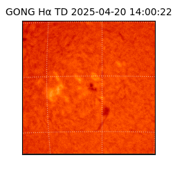 gong - 2025-04-20T14:00:22
