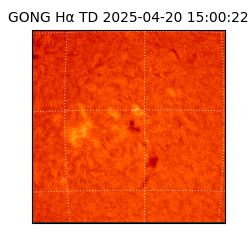 gong - 2025-04-20T15:00:22
