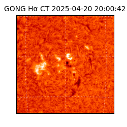 gong - 2025-04-20T20:00:42