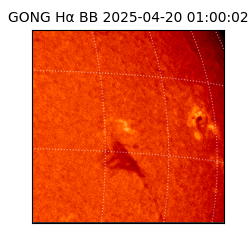 gong - 2025-04-20T01:00:02