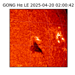 gong - 2025-04-20T02:00:42