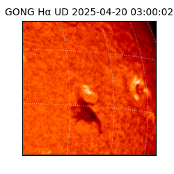 gong - 2025-04-20T03:00:02