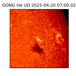 gong - 2025-04-20T07:00:02