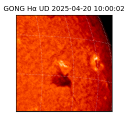 gong - 2025-04-20T10:00:02