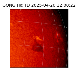 gong - 2025-04-20T12:00:22