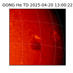 gong - 2025-04-20T13:00:22
