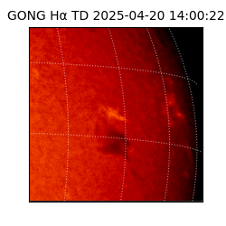 gong - 2025-04-20T14:00:22