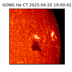 gong - 2025-04-20T19:00:42