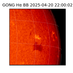 gong - 2025-04-20T22:00:02