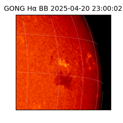 gong - 2025-04-20T23:00:02