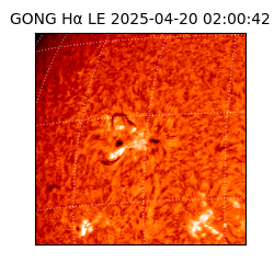 gong - 2025-04-20T02:00:42