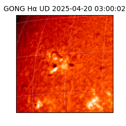 gong - 2025-04-20T03:00:02